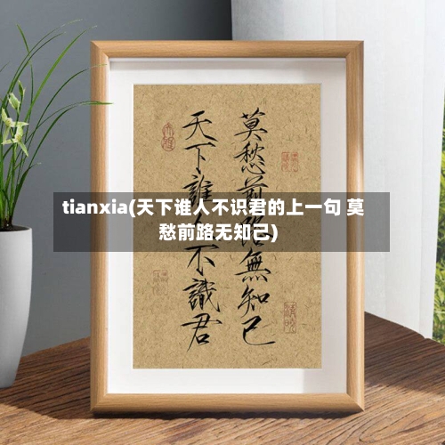 tianxia(天下谁人不识君的上一句 莫愁前路无知己)
