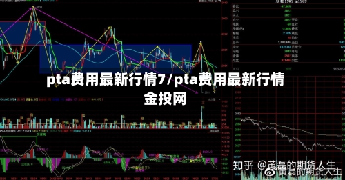 pta费用最新行情7/pta费用最新行情金投网
