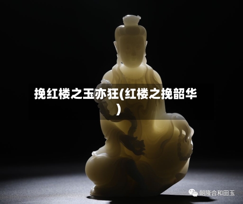 挽红楼之玉亦狂(红楼之挽韶华)