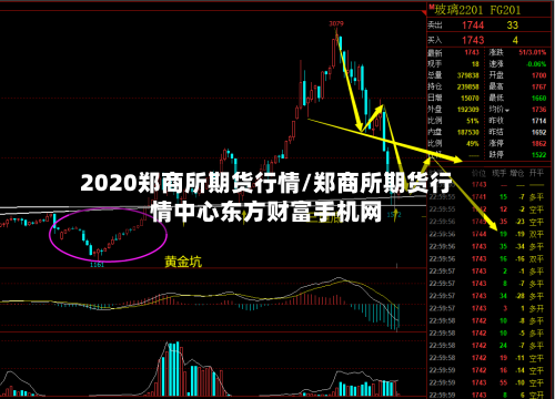 2020郑商所期货行情/郑商所期货行情中心东方财富手机网