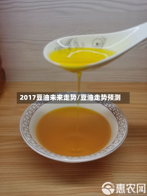 2017豆油未来走势/豆油走势预测-第2张图片