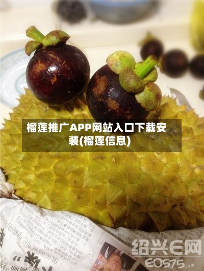 榴莲推广APP网站入口下载安装(榴莲信息)