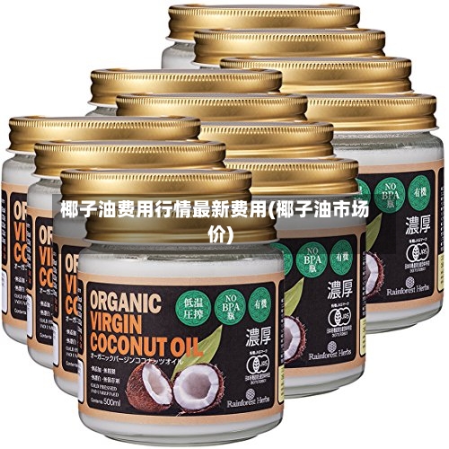 椰子油费用行情最新费用(椰子油市场价)