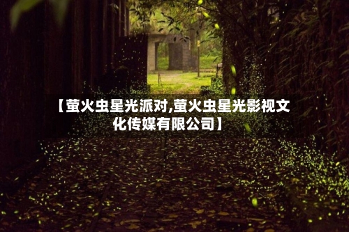 【萤火虫星光派对,萤火虫星光影视文化传媒有限公司】-第2张图片