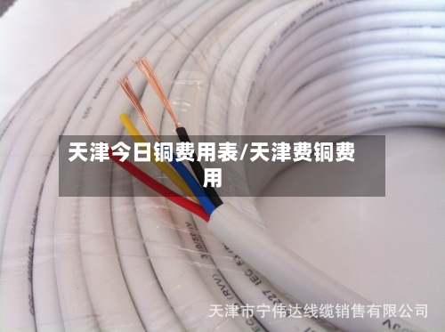天津今日铜费用表/天津费铜费用
