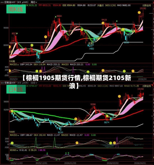 【棕榈1905期货行情,棕榈期货2105新浪】