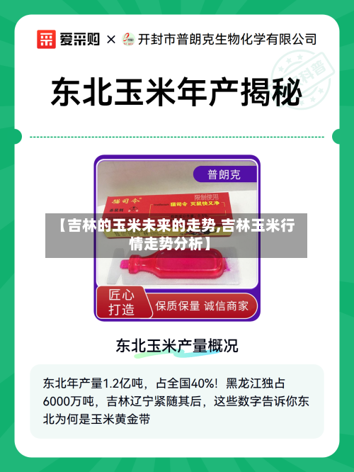 【吉林的玉米未来的走势,吉林玉米行情走势分析】