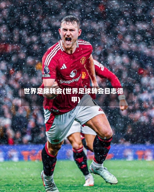 世界足球转会(世界足球转会日志德甲)