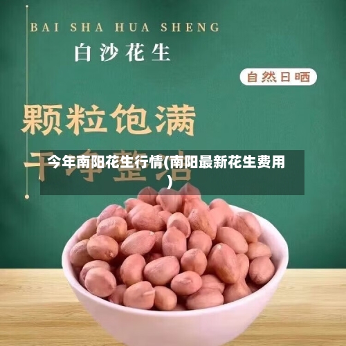 今年南阳花生行情(南阳最新花生费用)