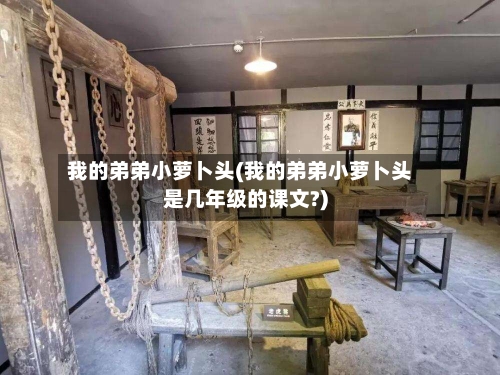 我的弟弟小萝卜头(我的弟弟小萝卜头是几年级的课文?)
