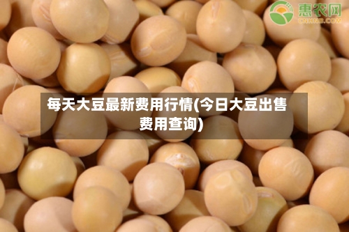 每天大豆最新费用行情(今日大豆出售费用查询)-第2张图片