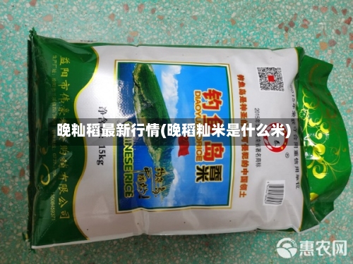 晚籼稻最新行情(晚稻籼米是什么米)