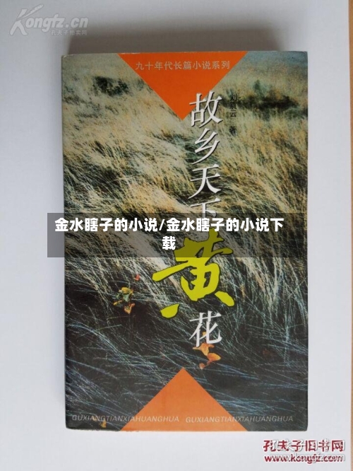 金水瞎子的小说/金水瞎子的小说下载-第3张图片