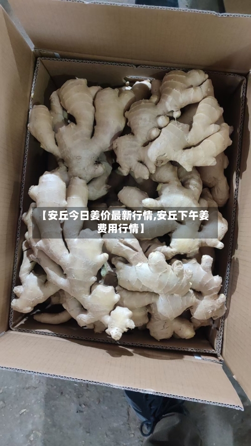 【安丘今日姜价最新行情,安丘下午姜费用行情】-第3张图片