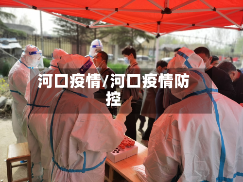 河口疫情/河口疫情防控-第2张图片